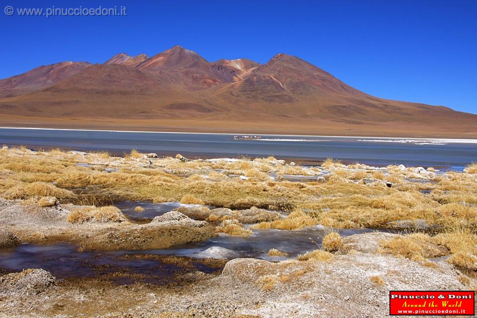 BOLIVIA 2 - Ruta de Las Joyas - Laguna Kanapa - 39.jpg